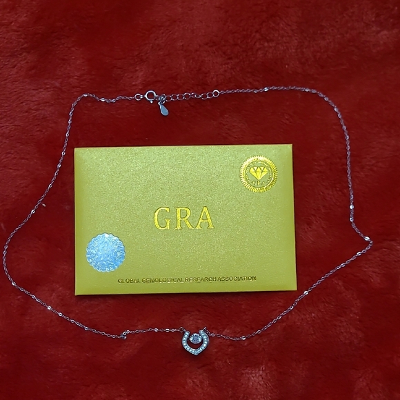 Elegant Silver Necklace with Pendant